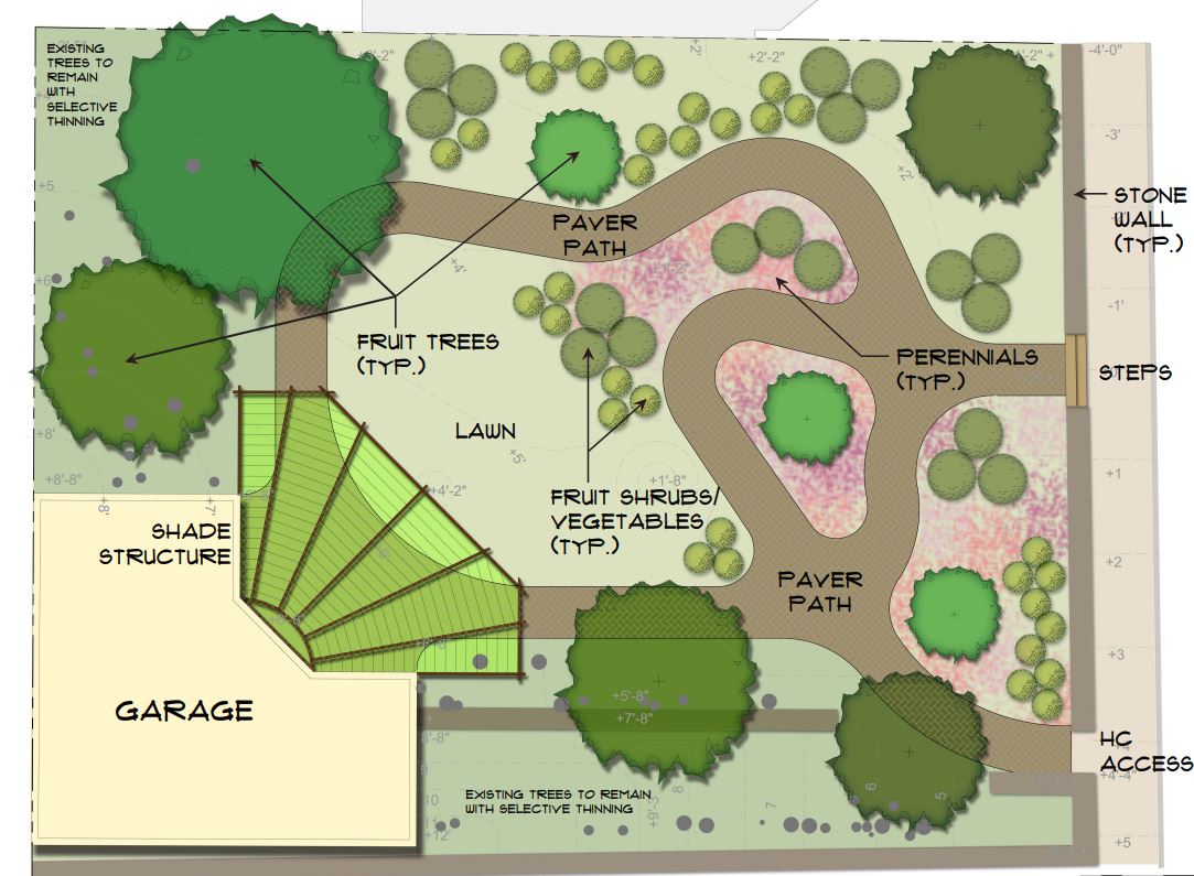 Uphams Corner Community Food Forest | Boston.gov