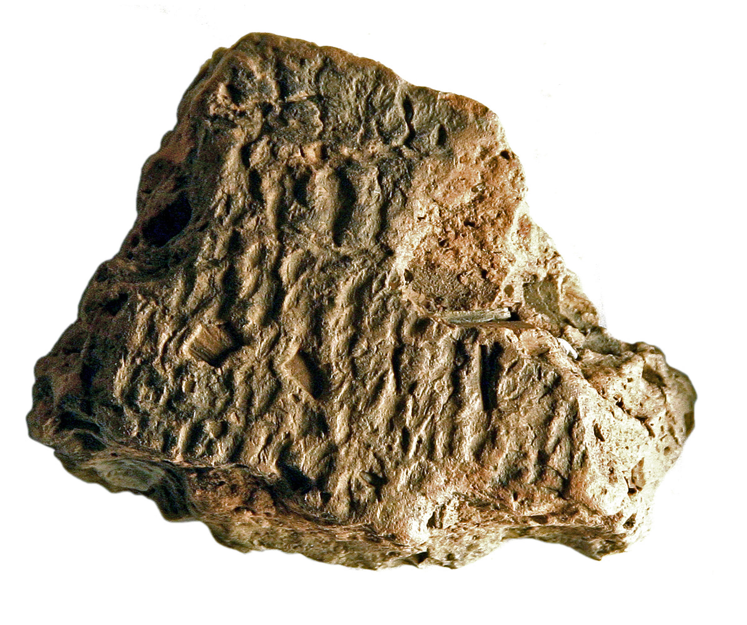 fragment of native pottery found on Boston Common