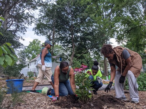 A group of people planting at the Edgewater Food Forest.