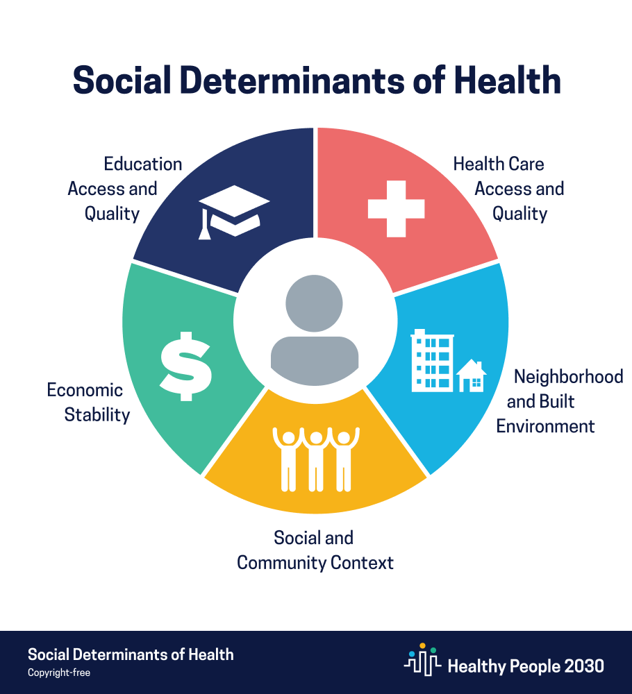 Pie chart with five portions labeled: Education Access and Quality, Economic Stability, Health Care Access and Quality, Neighborhood and Built Environment, and Social and Community Context.