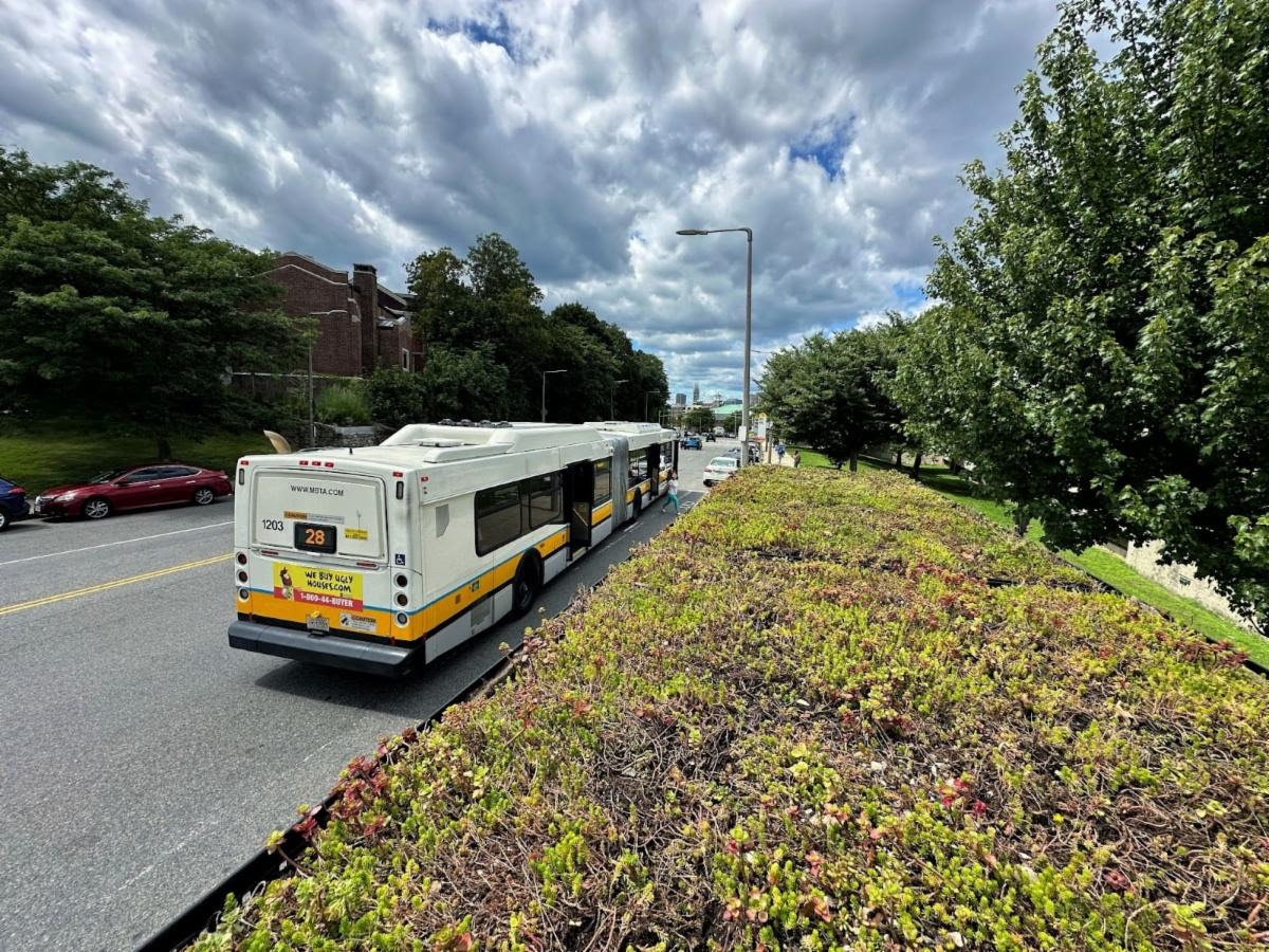 Mayor Michelle Wu announced the installation of green roofs on 30 bus shelters along the MBTA’s #28 Bus route.