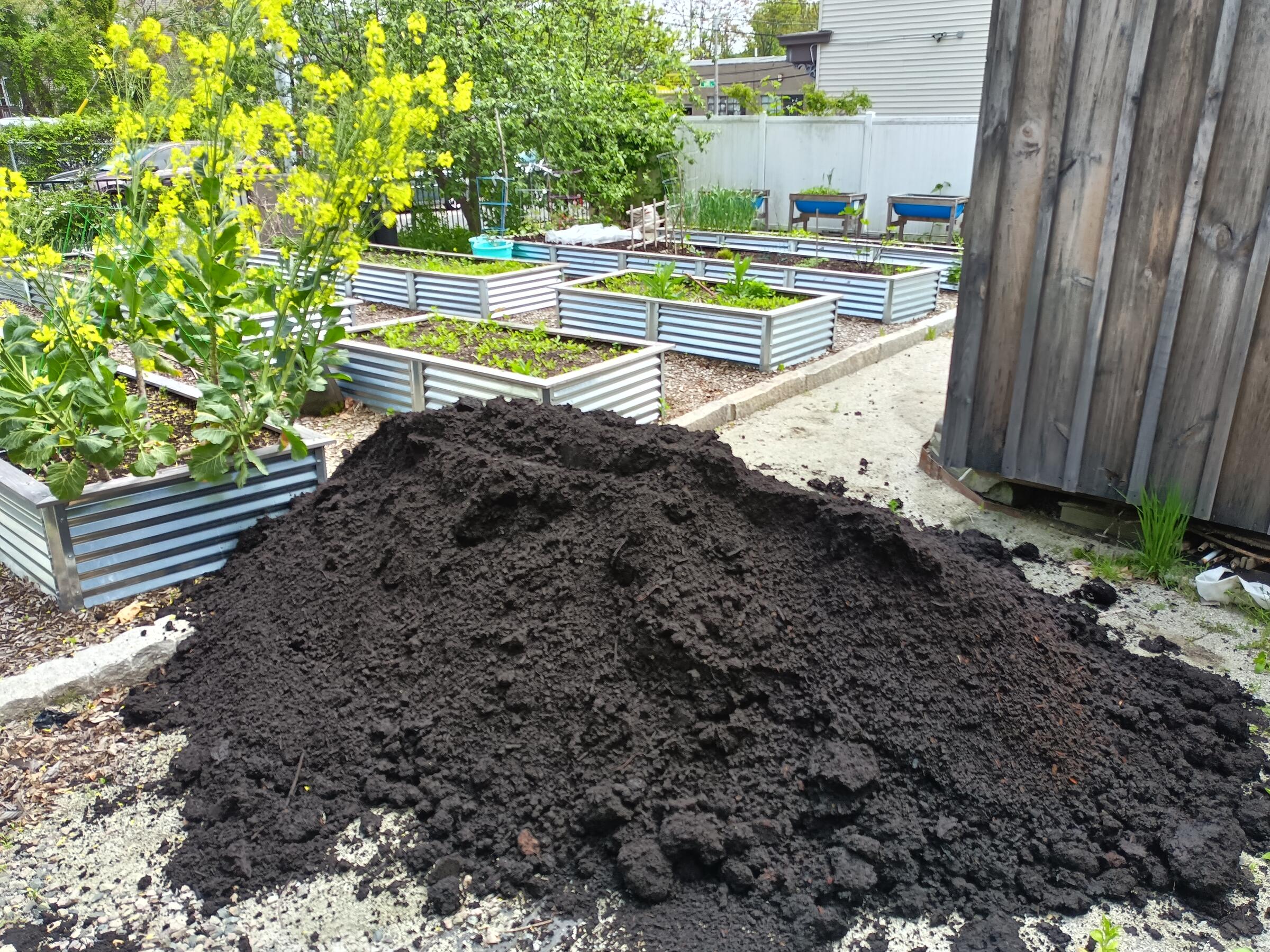 Community Garden