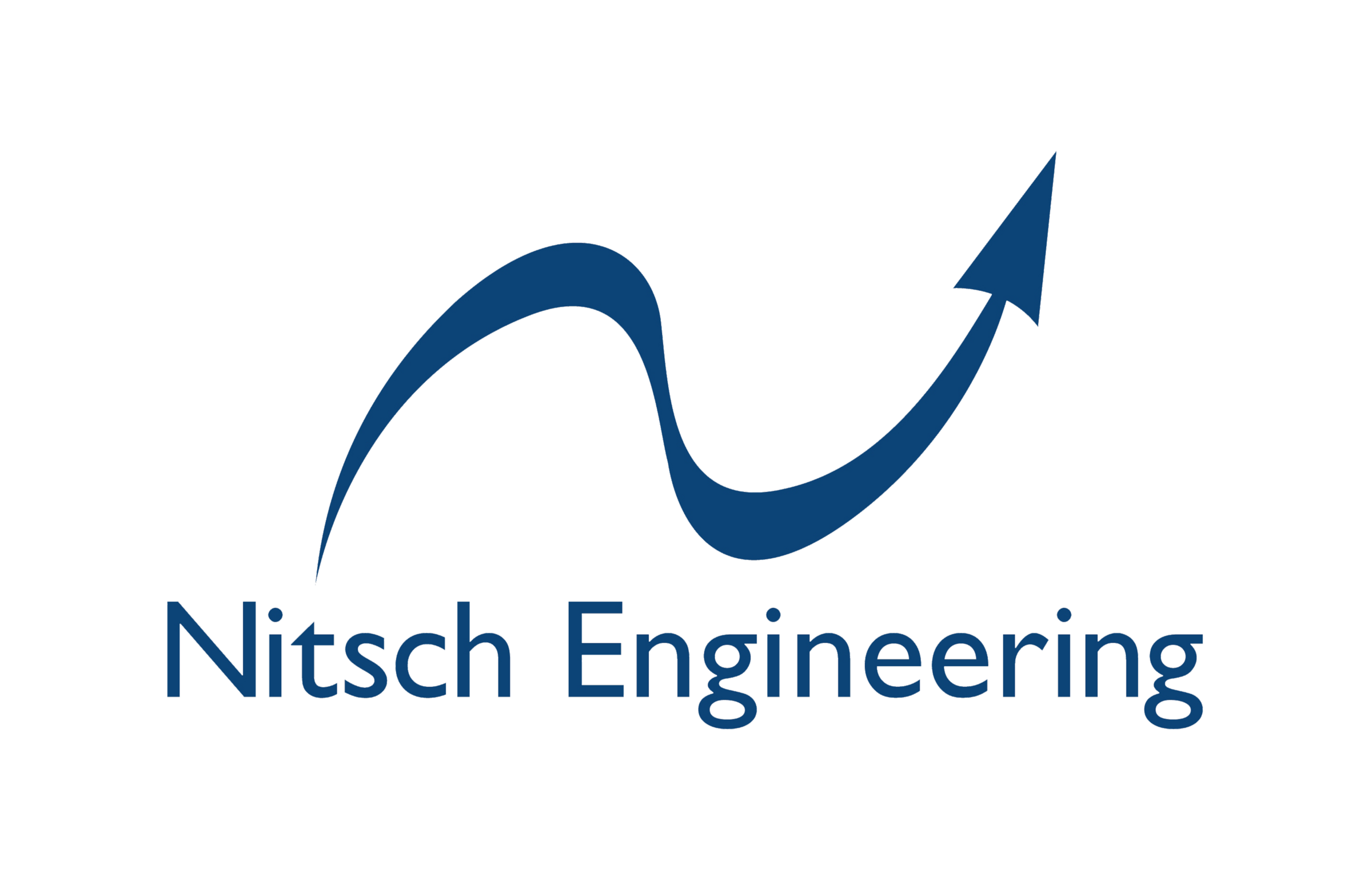 Nitsch logo