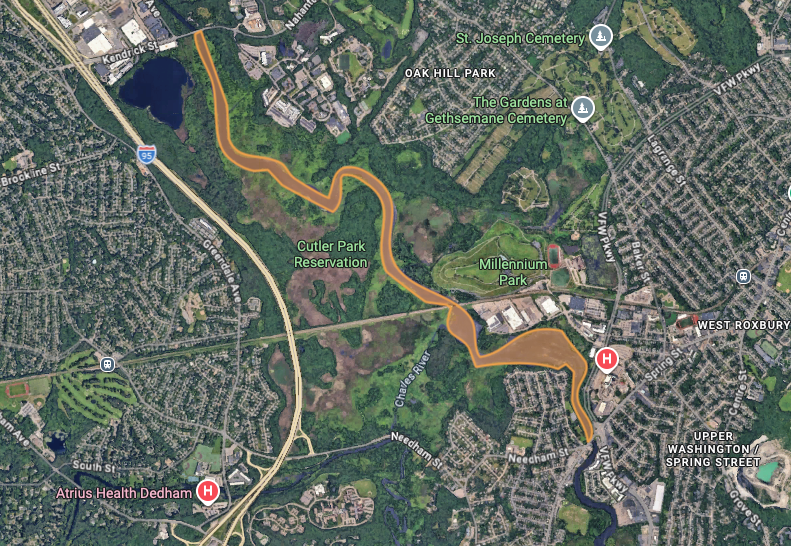 Map highlighting the section of the Charles River potentially impacted by cyanobacteria algae bloom.