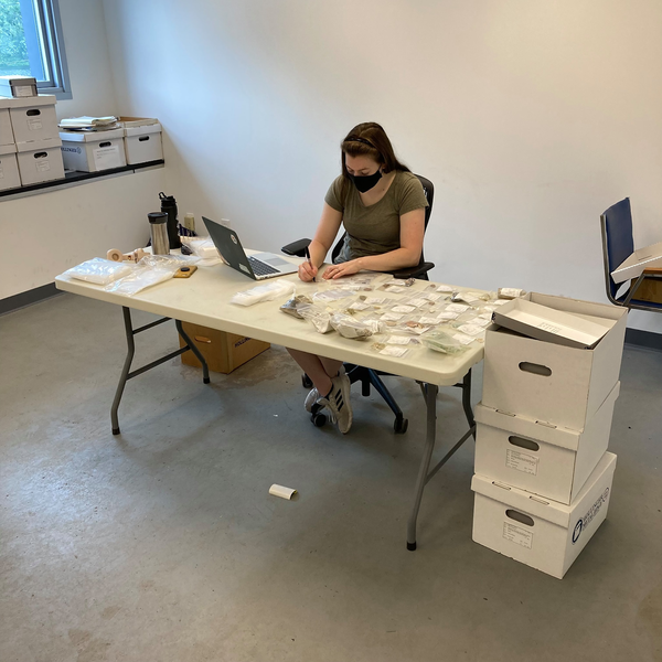 A woman with long hair and wearing a mask sits at a white pop-up table cataloging archaeological artifacts