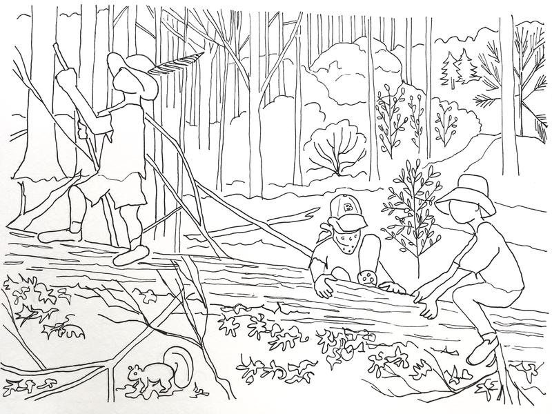 Franklin Park Fairies 