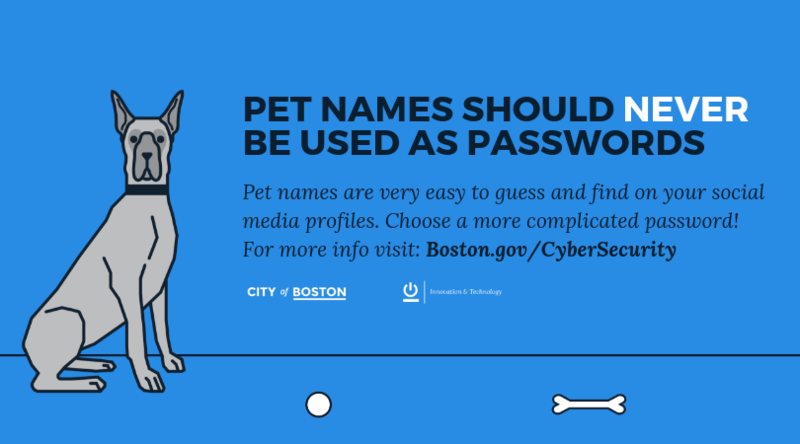 Image of pet name as password