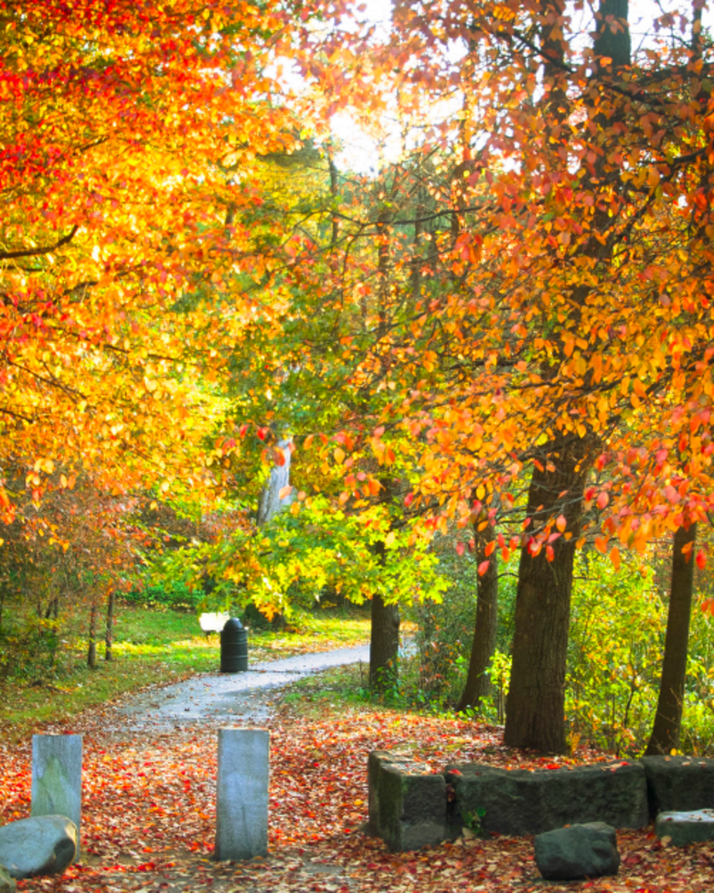 Franklin Park with foliage