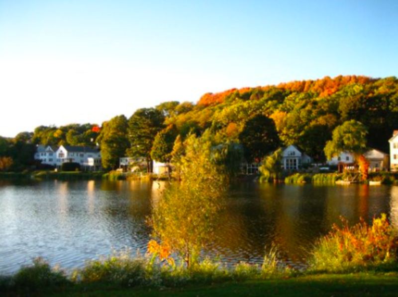 Fall foliage at Chandler Pond in Brighton