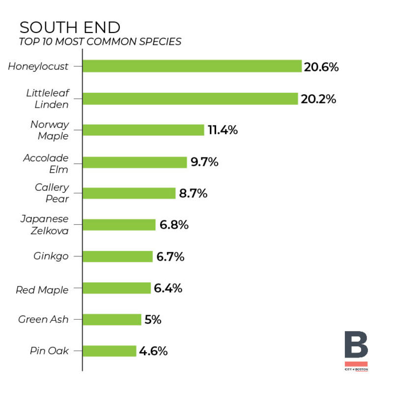 Tree Inventory - South End (bar graph) 