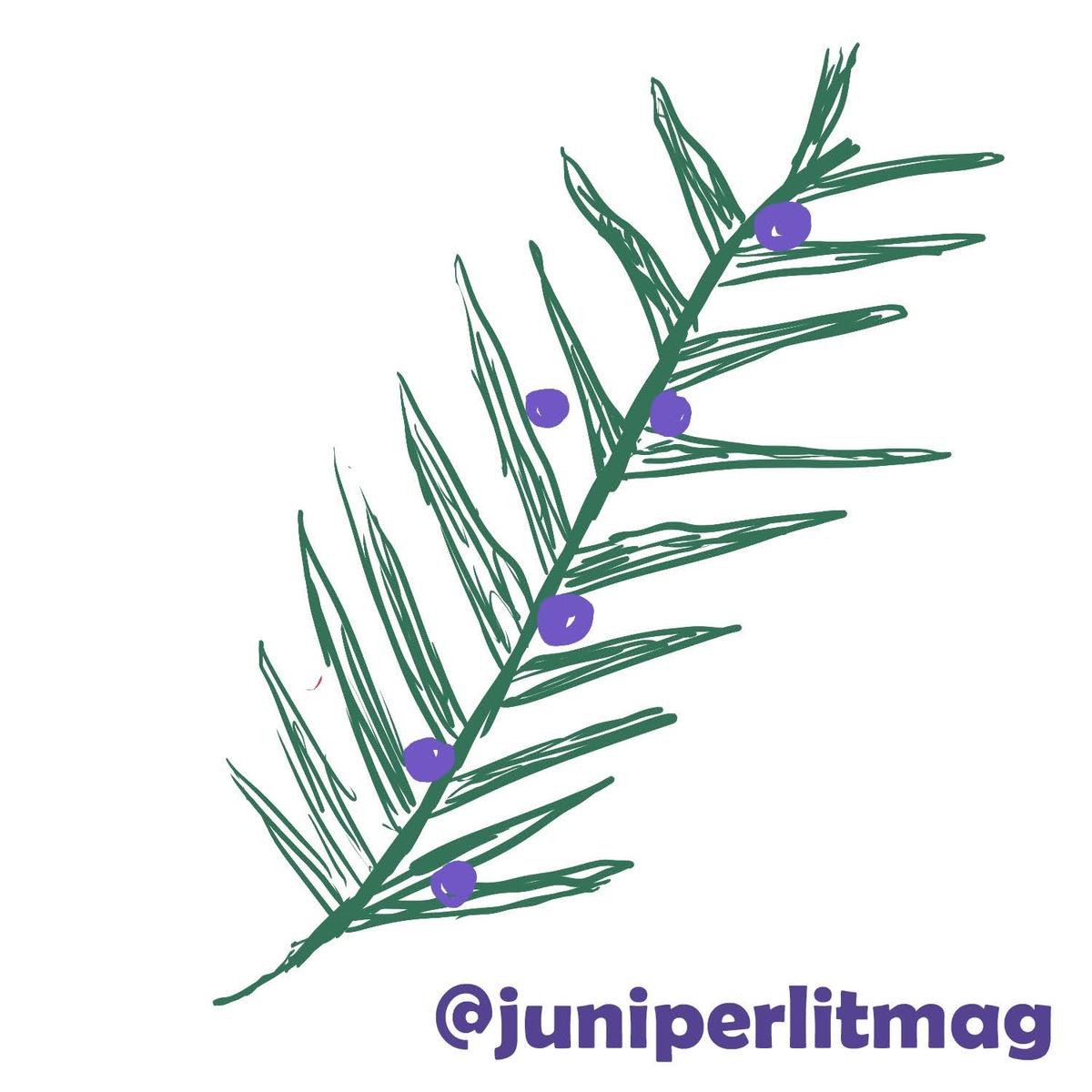 Juniper Literary magazine