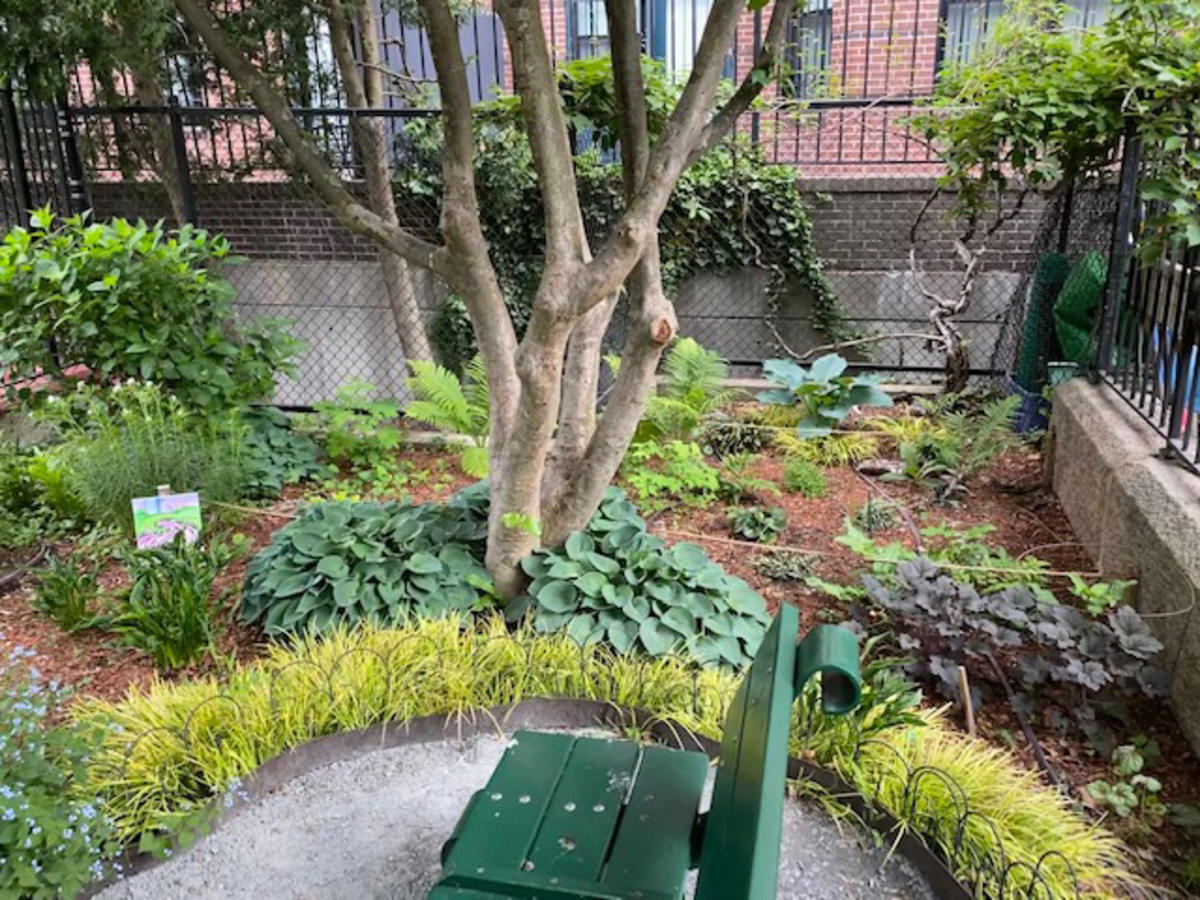 Gifford - 2nd Place Small Yard