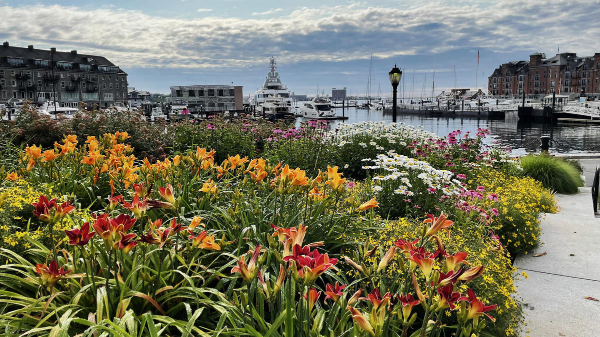 Friends of Christopher Columbus Park - 2nd Place Organization