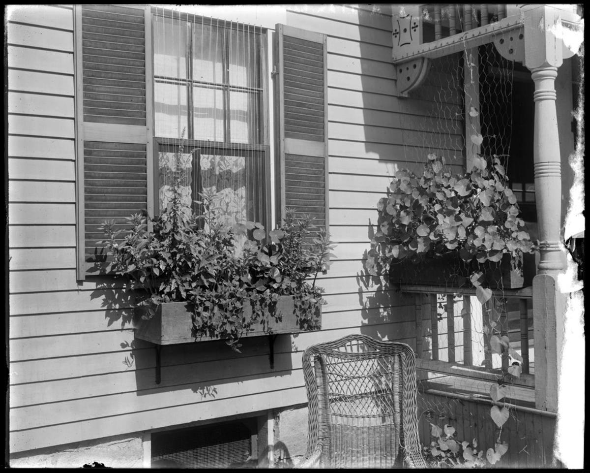 Window Box in Billerica, 1909