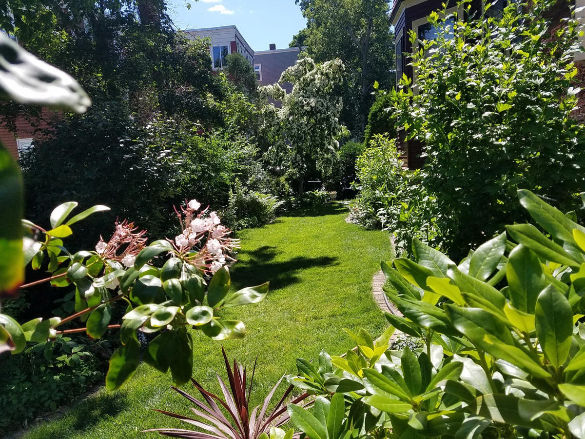 Dunleavy - 1st Place Age Strong