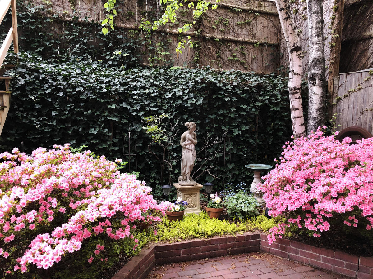 Christians - 3rd Place Small Yard