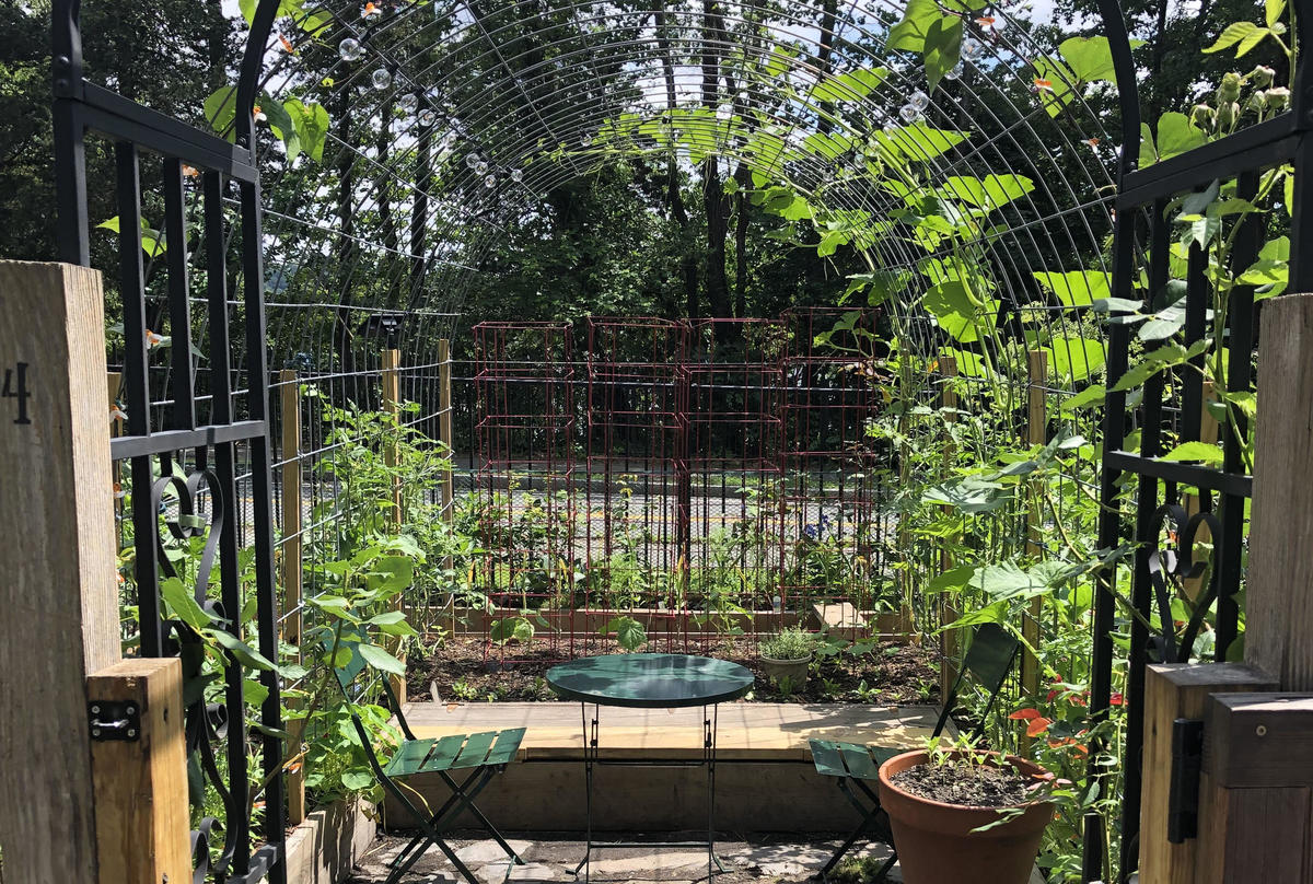 Sunny Ha - 1st Place Vegetable