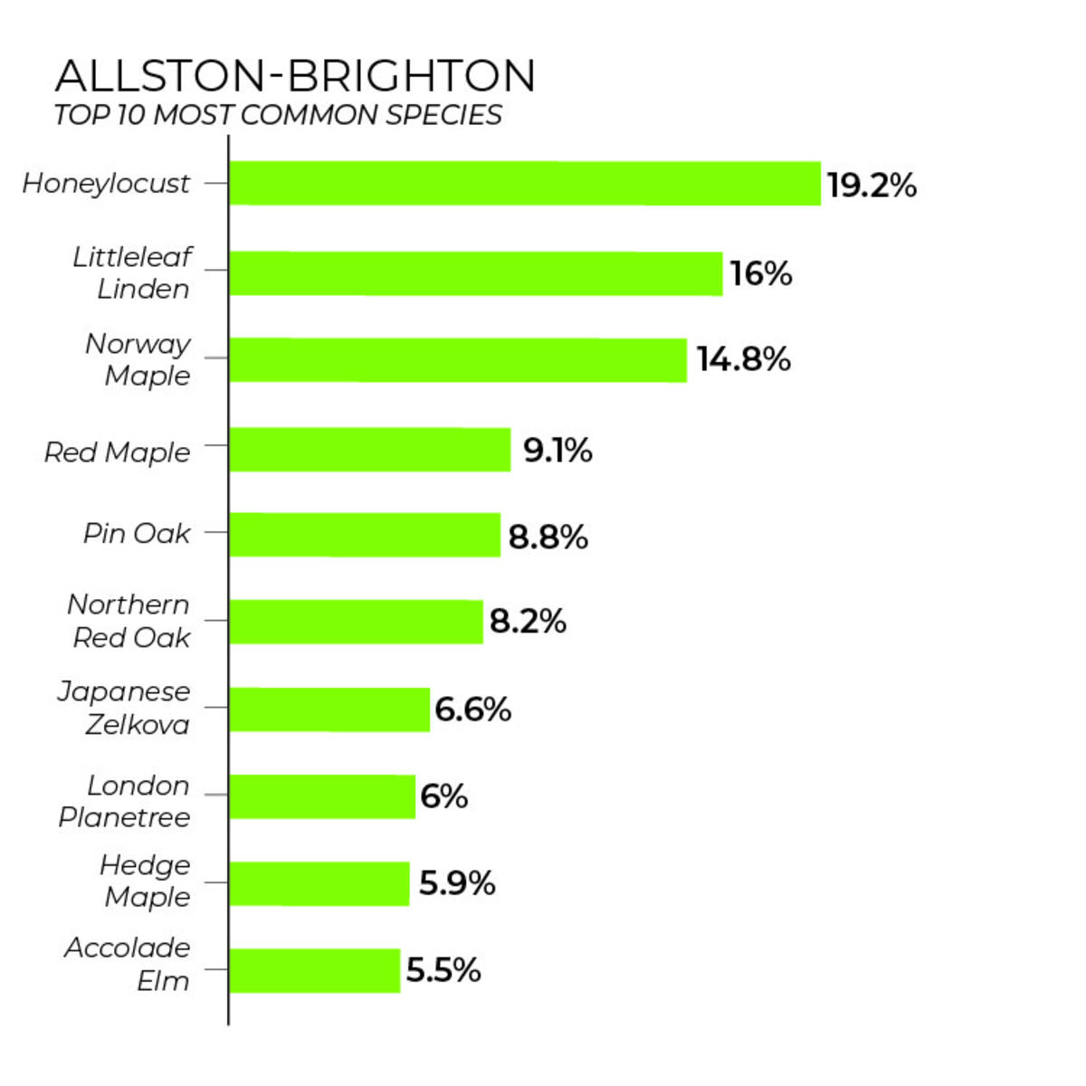 Allston-Brighton tree inventory