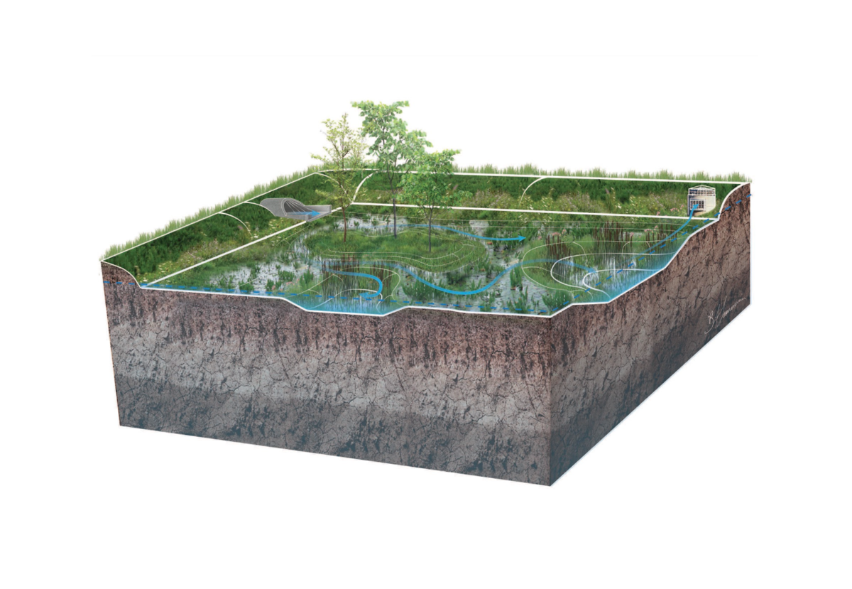Constructed Wetlands