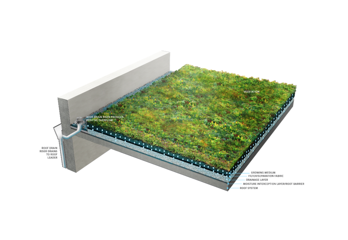 Green Roofs