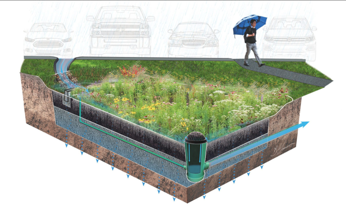 A graphic of a rain garden