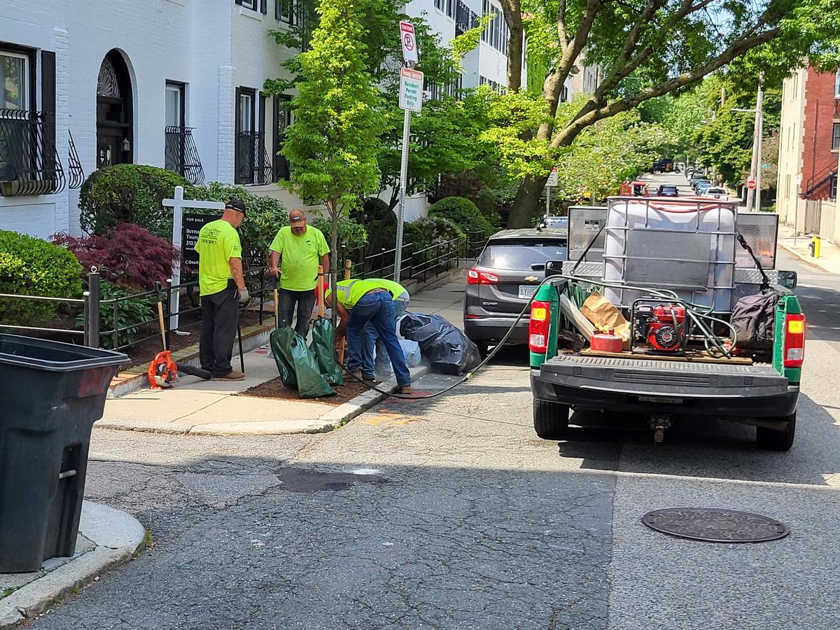 A tree crew works to plant a tree on a Boston street with a full truck bed to the right.