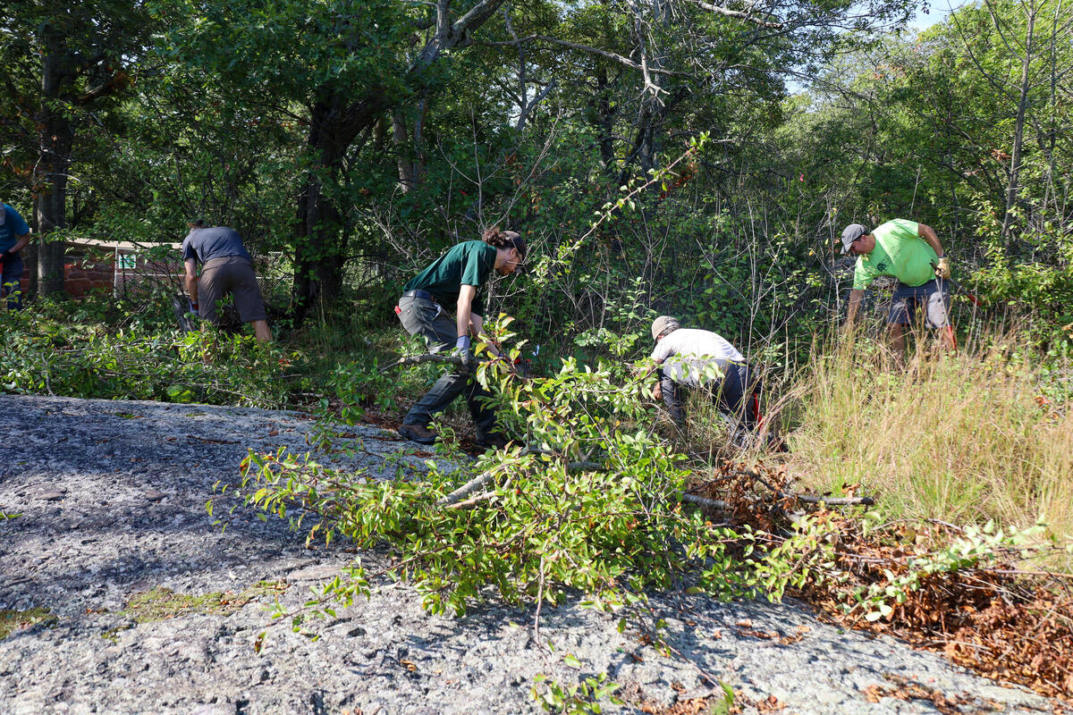 Urban Wilds Volunteer Day Photo