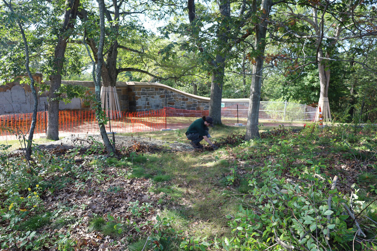 Urban Wilds Volunteer Day Photo