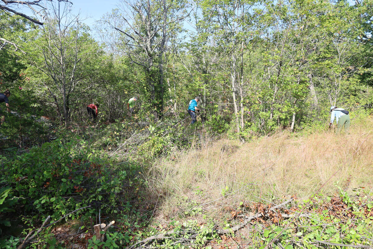 Urban Wilds Volunteer Day Photo