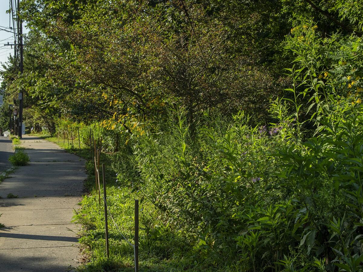 DeForest by Lisa McCarty