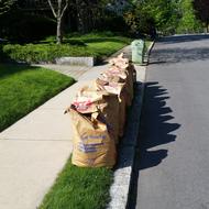 Image for curbside yard waste