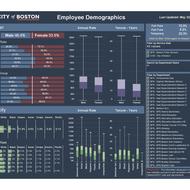 Image for diversity dashboard
