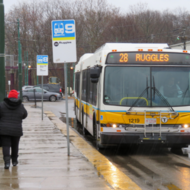 MBTA Bus