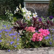 Mixed florals and greenery at Charlestown Garden