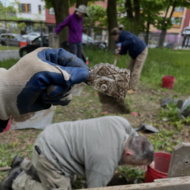 Photograph of the City of Boston Archaeology team excavating Pressed Glass Vessel.