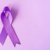 Domestic Violence Ribbon 