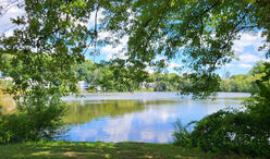 View of Chandler Pond with tree in the foreground